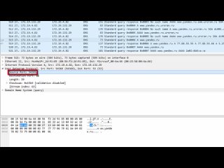 dns protocol in wireshark practice course computer networks